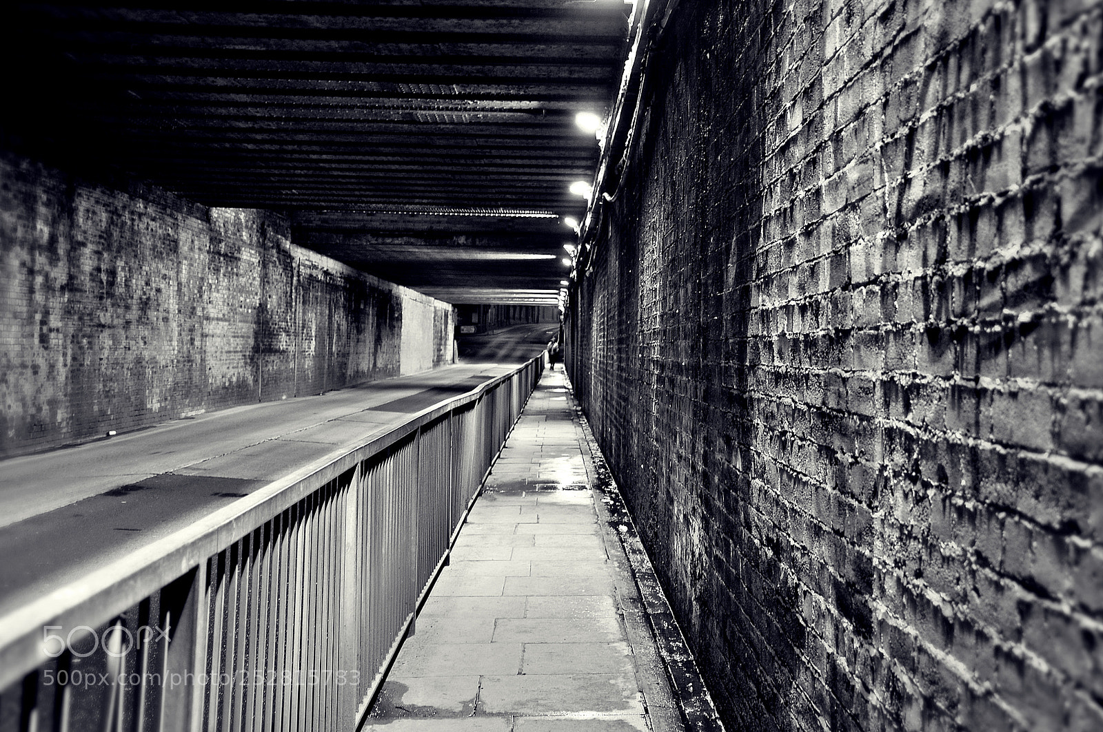 Nikon D90 sample photo. Untitled photography