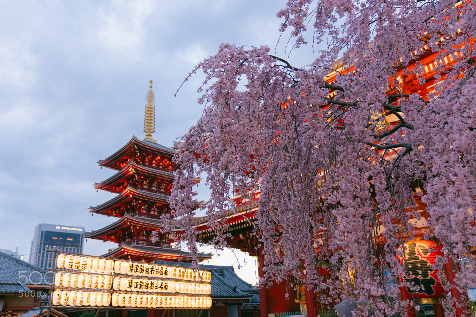 Sony a7R II sample photo. 東京淺草寺 photography