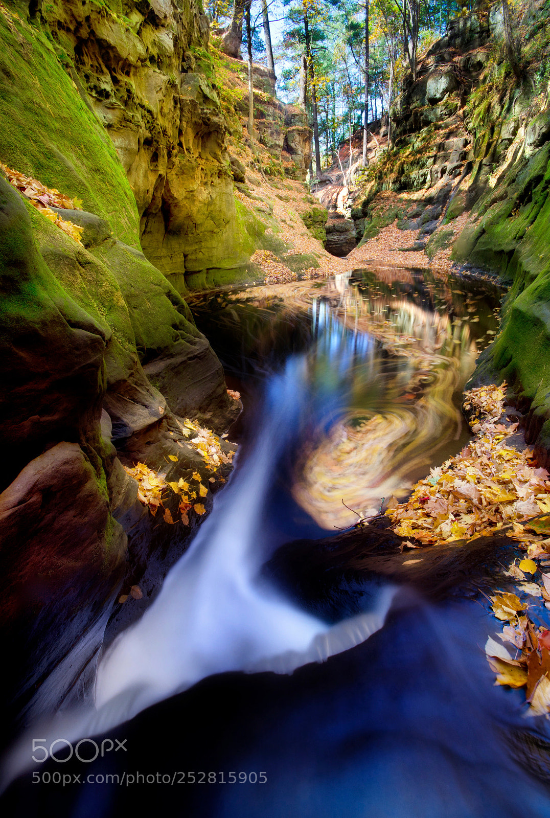 Nikon D7000 sample photo. Fall swirl photography