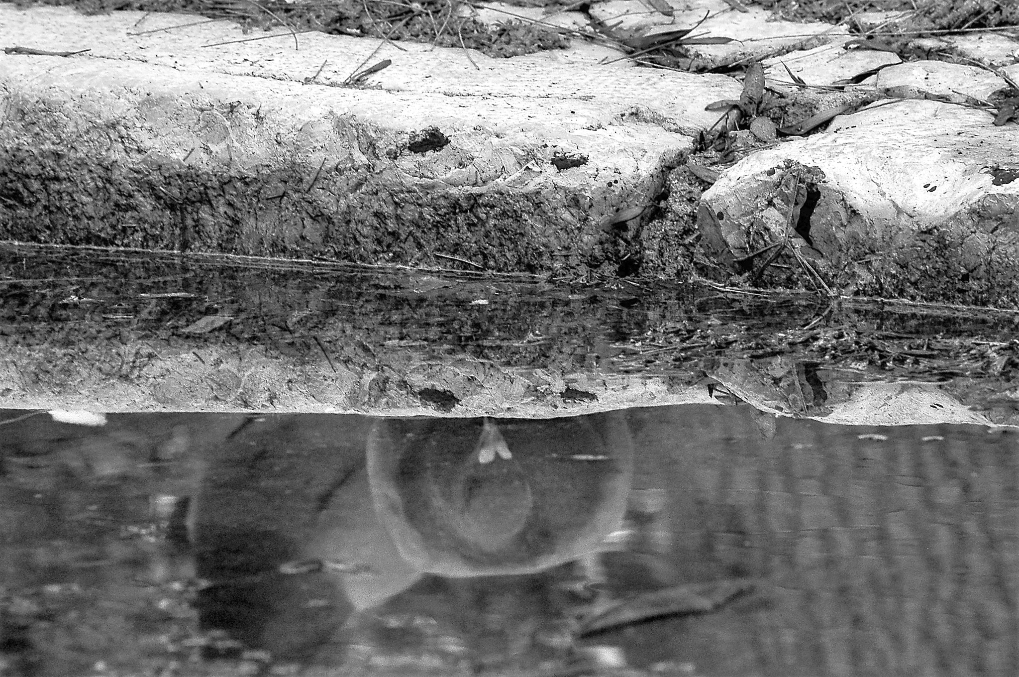 Nikon D90 sample photo. Chuva de primavera photography
