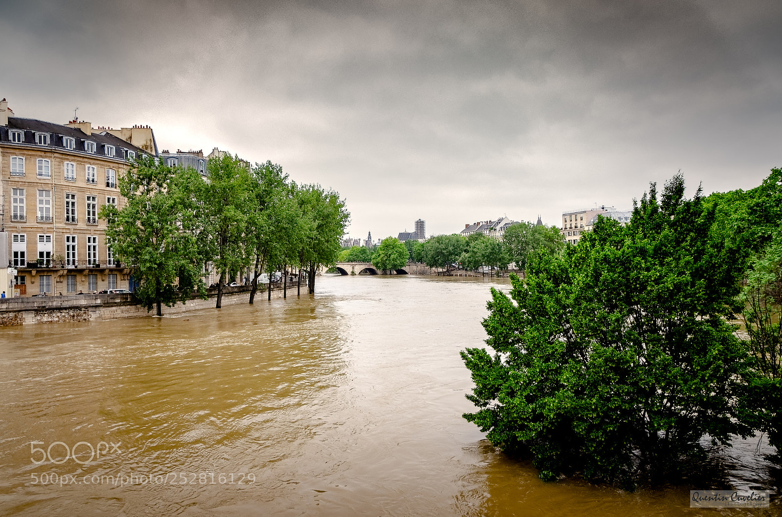 Nikon D7000 sample photo. Crue de la seine photography