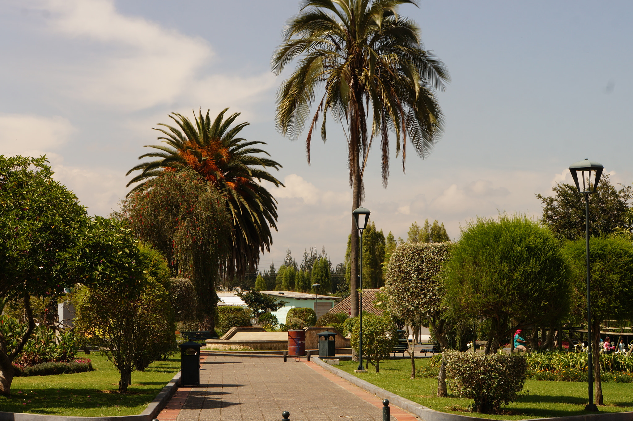 Sony E 18-55mm F3.5-5.6 OSS sample photo. #tababela photography