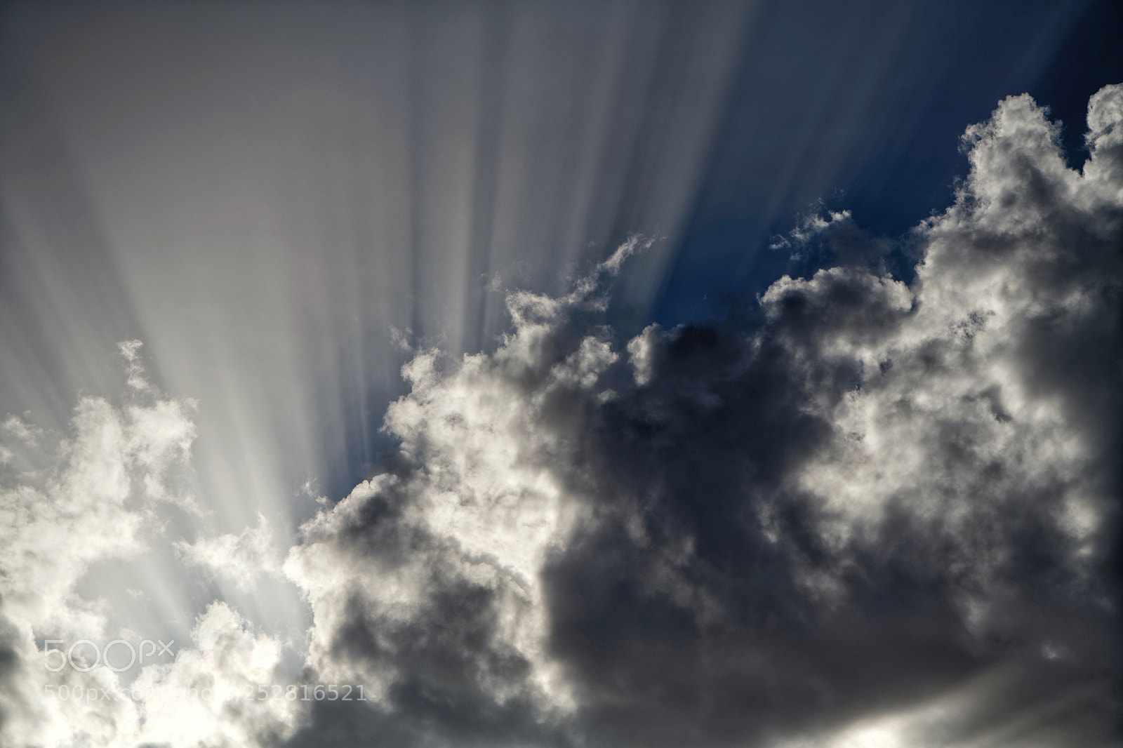 Nikon D850 sample photo. Cloudy light photography