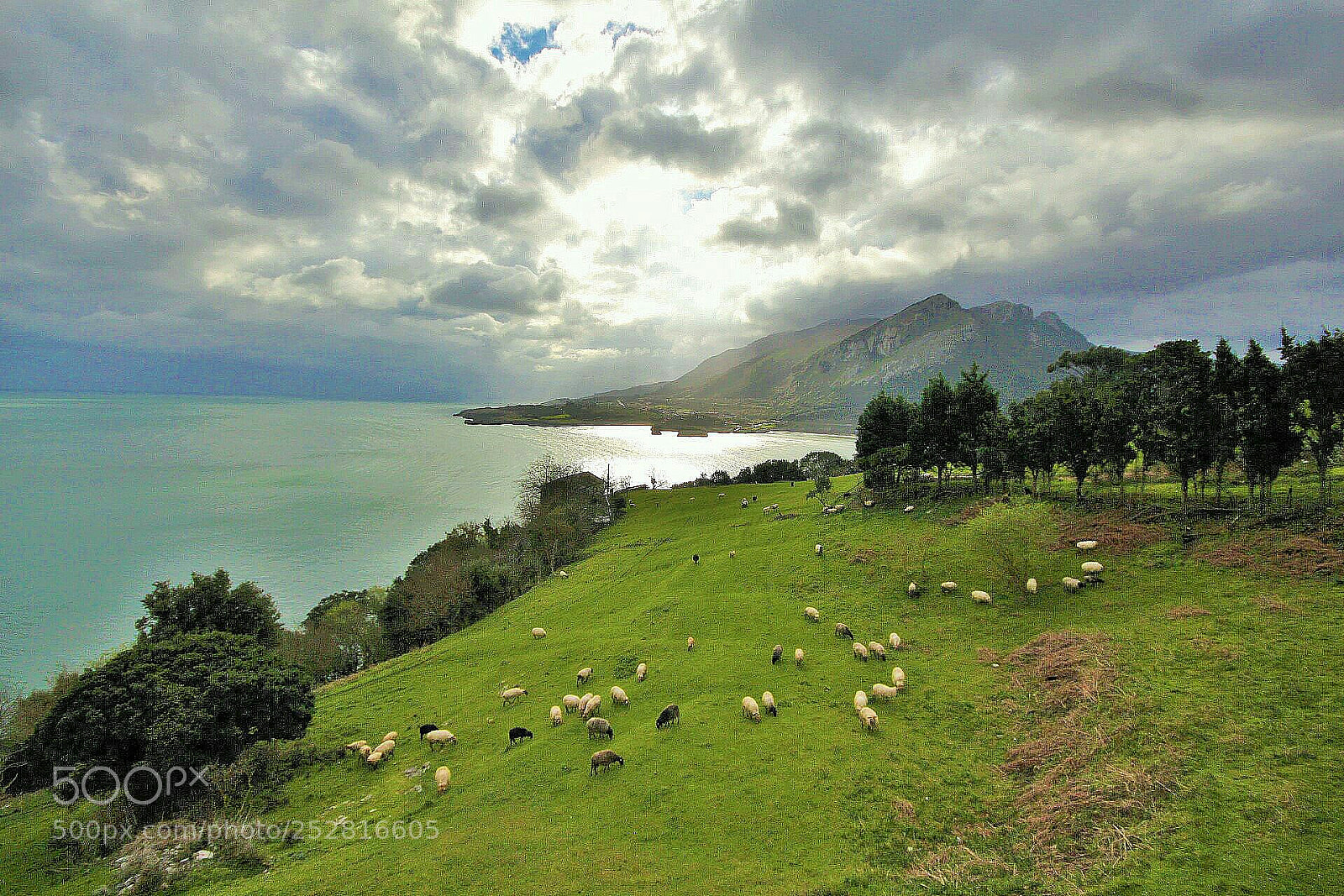 Canon EOS 700D (EOS Rebel T5i / EOS Kiss X7i) sample photo. Cantabria. photography