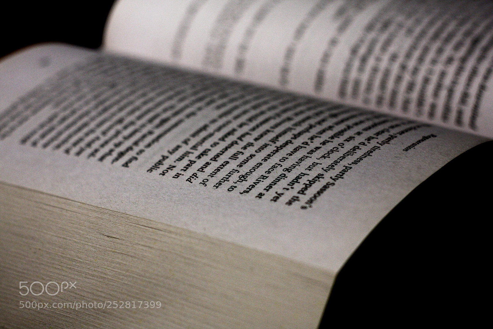 Canon EOS 40D sample photo. Untitled photography