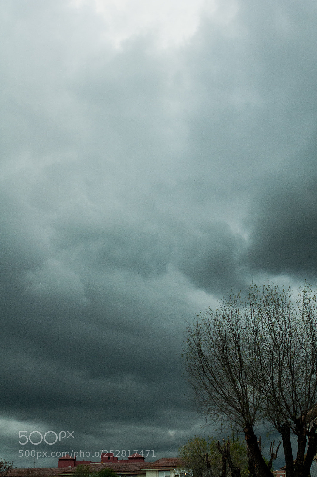 Nikon D300S sample photo. Nubes y árboles  photography