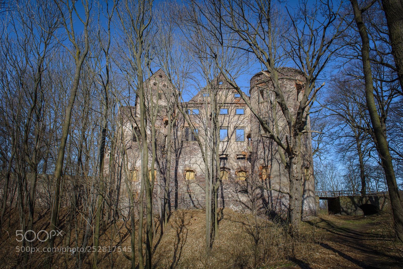 Nikon D610 sample photo. Castle photography