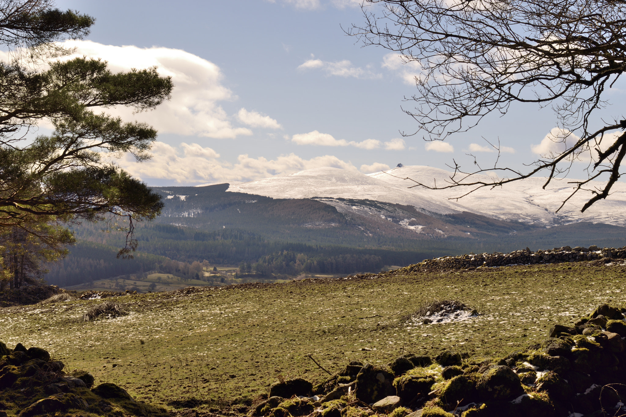 Nikon AF-S Nikkor 50mm F1.8G sample photo. Snowy hill photography