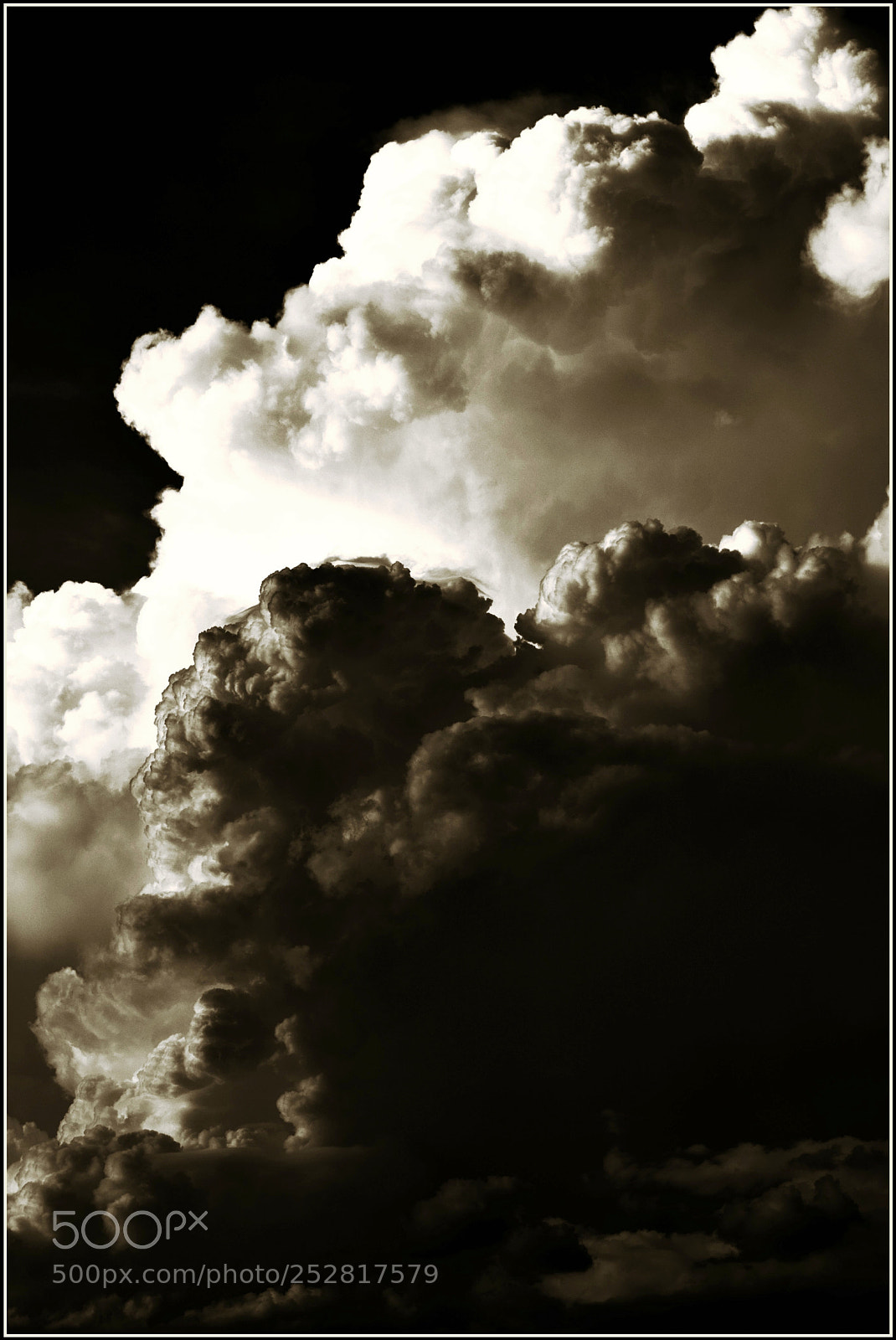 Nikon D5300 sample photo. "obrigado... photography