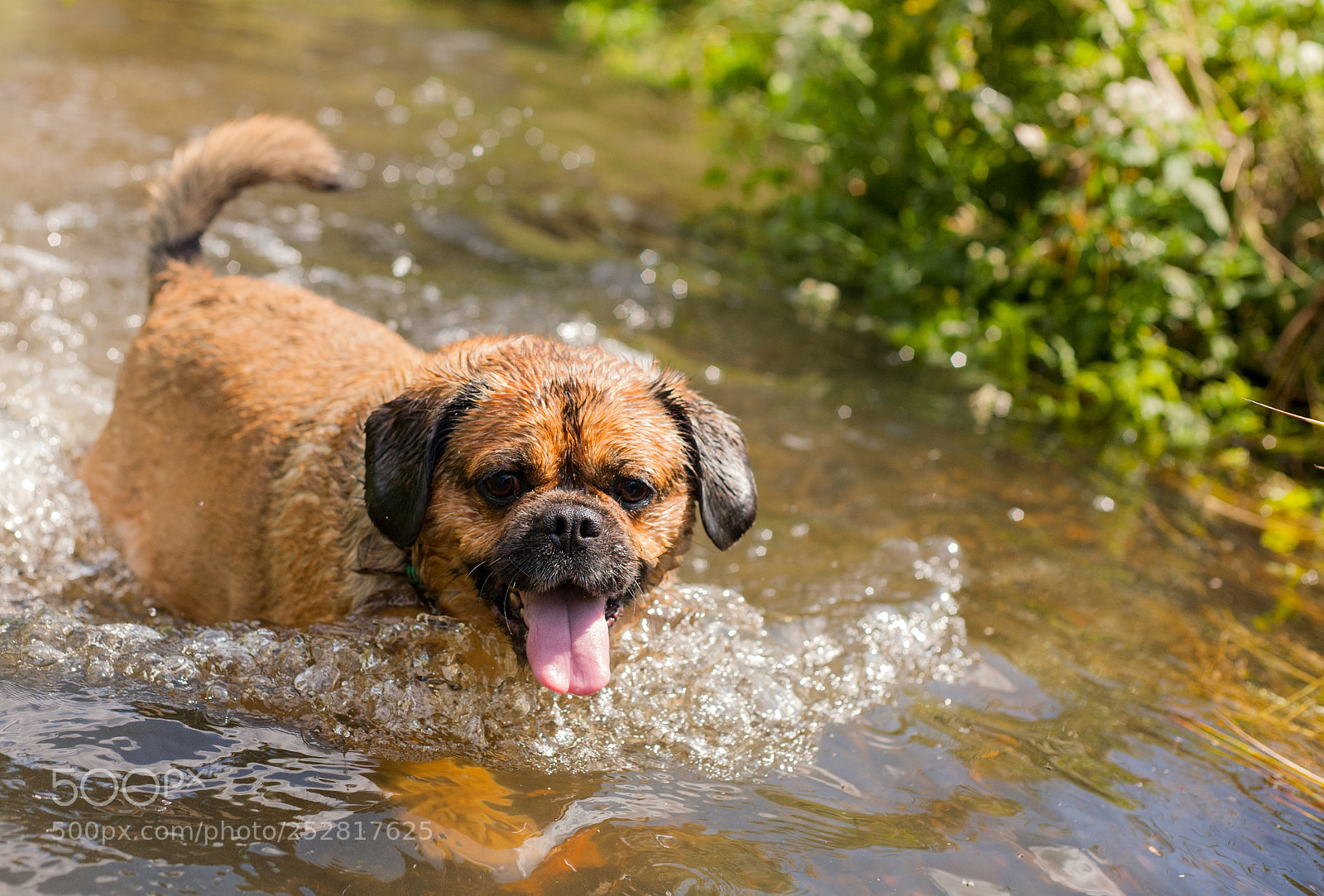 Canon EOS 5D sample photo. Forgotten summer photography