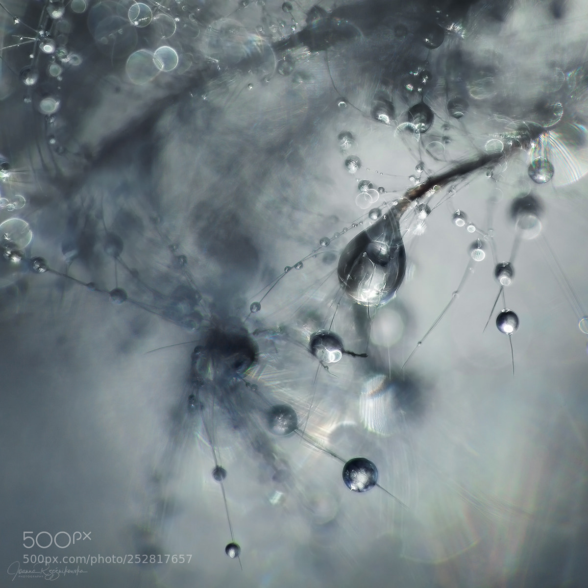 Canon EOS 5D Mark II sample photo. Angel's tears photography
