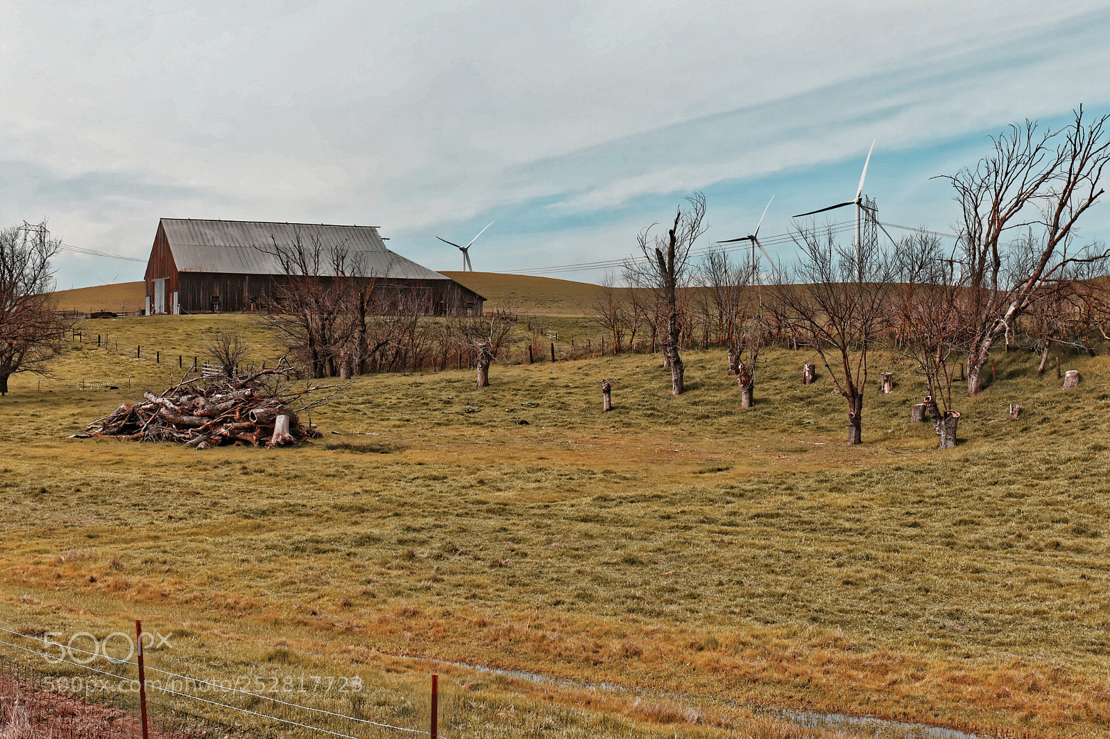 Canon EOS 5D Mark IV sample photo. Montezuma rd 30 photography