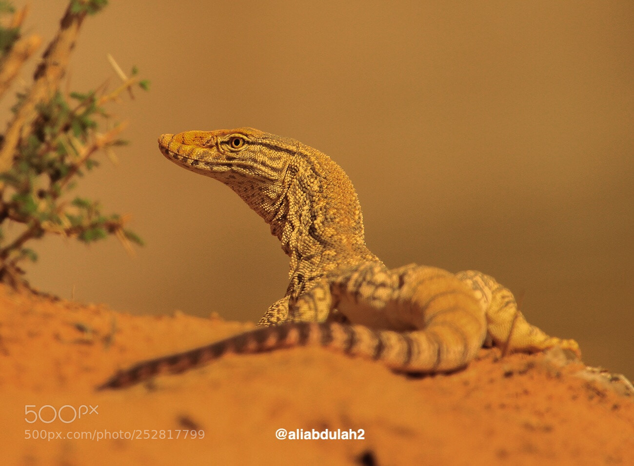 Canon EOS 7D sample photo. Untitled photography