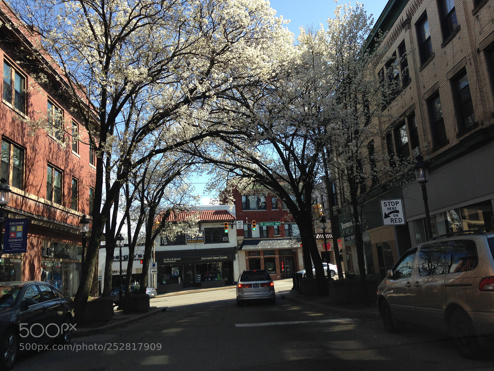 Apple iPhone 5c sample photo. Neighborhood photography