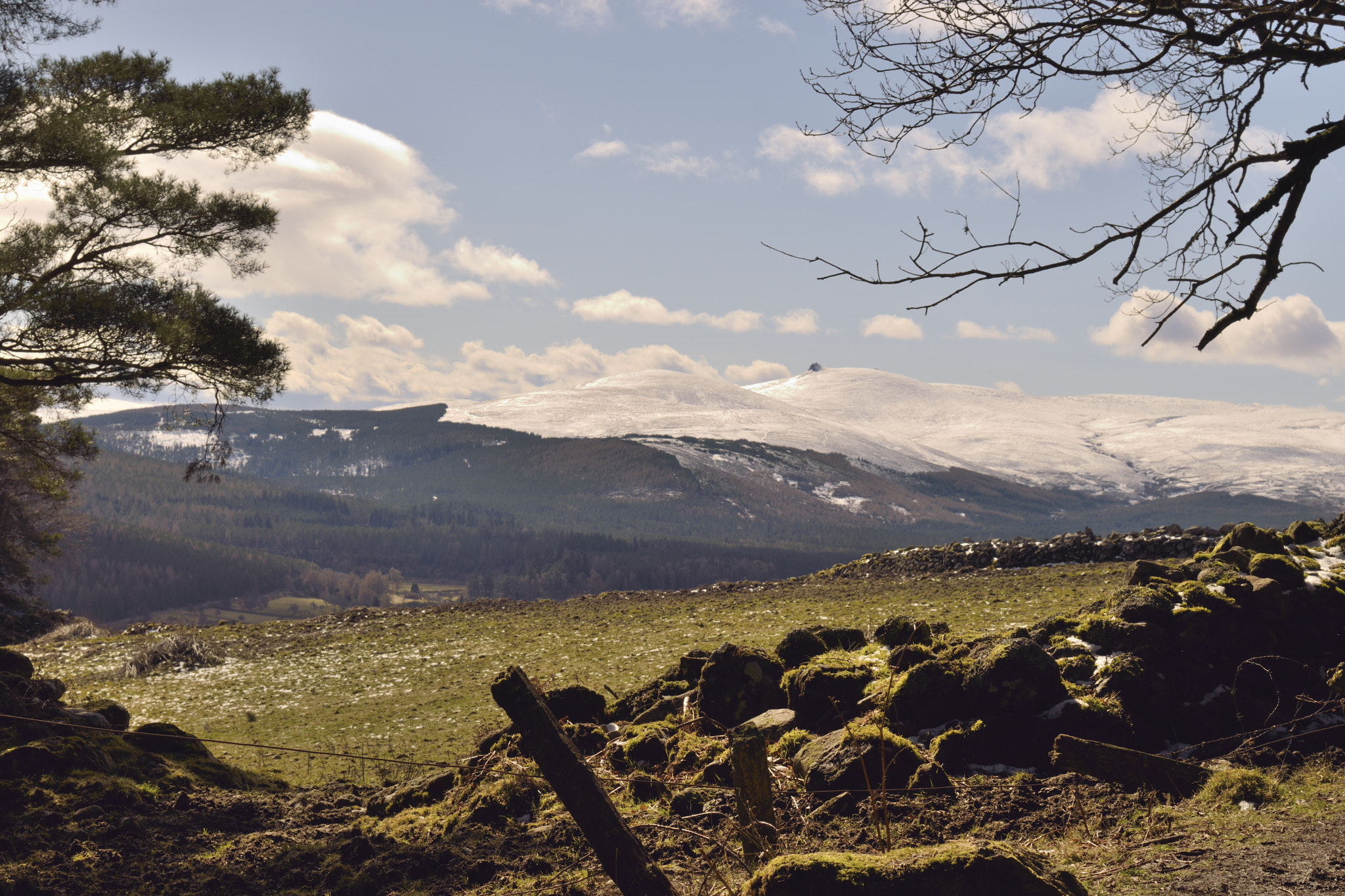 Nikon AF-S Nikkor 50mm F1.8G sample photo. Snowy hill photography
