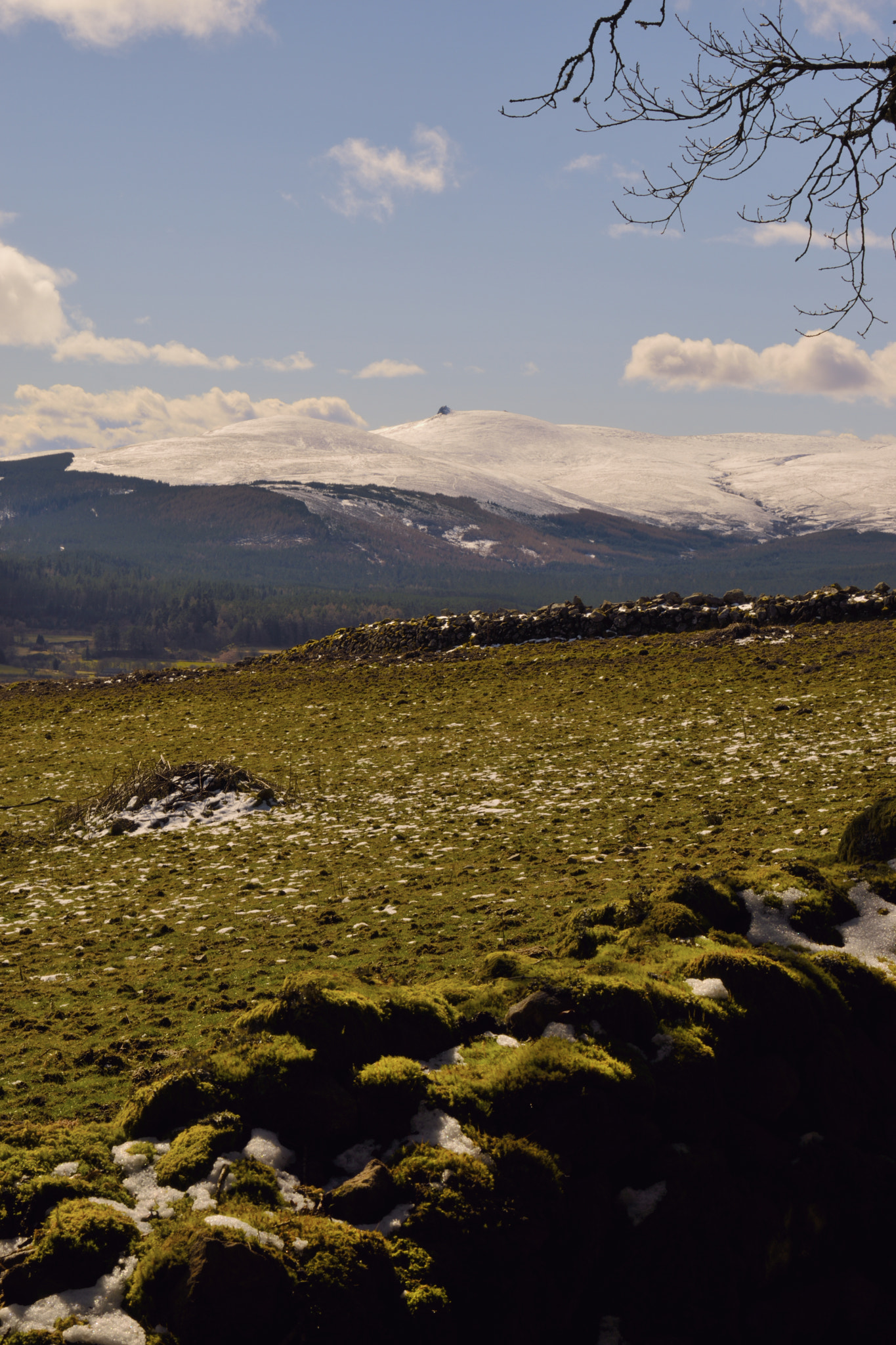 Nikon AF-S Nikkor 50mm F1.8G sample photo. Snowy hill photography