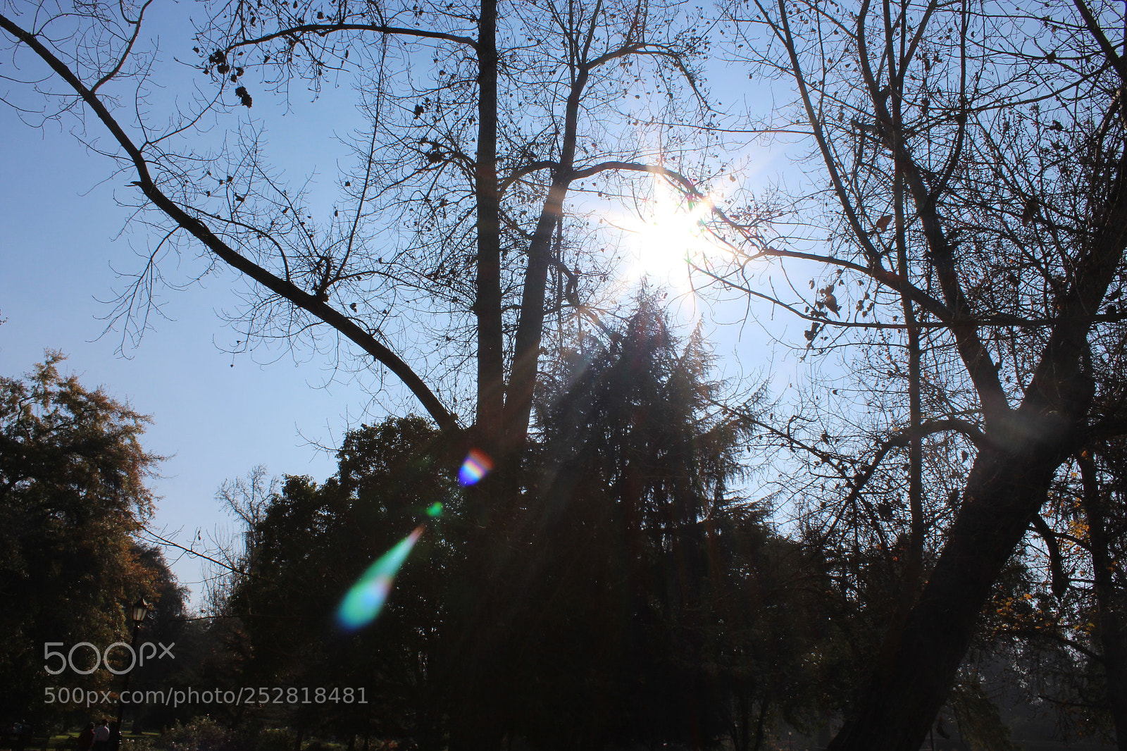 Canon EOS 1300D (EOS Rebel T6 / EOS Kiss X80) sample photo. Img photography