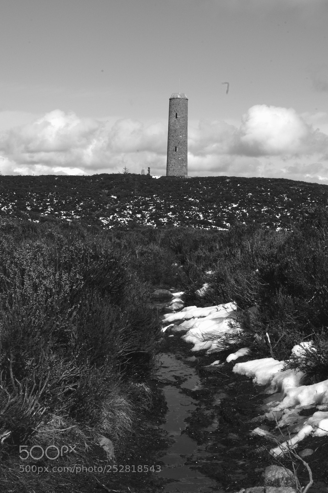 Nikon D3300 sample photo. Scolty tower photography