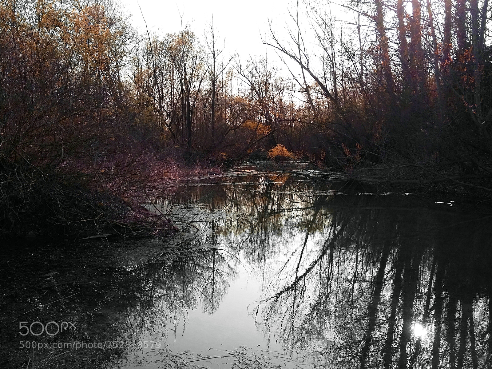 Samsung Galaxy Grand Prime sample photo. Untitled photography