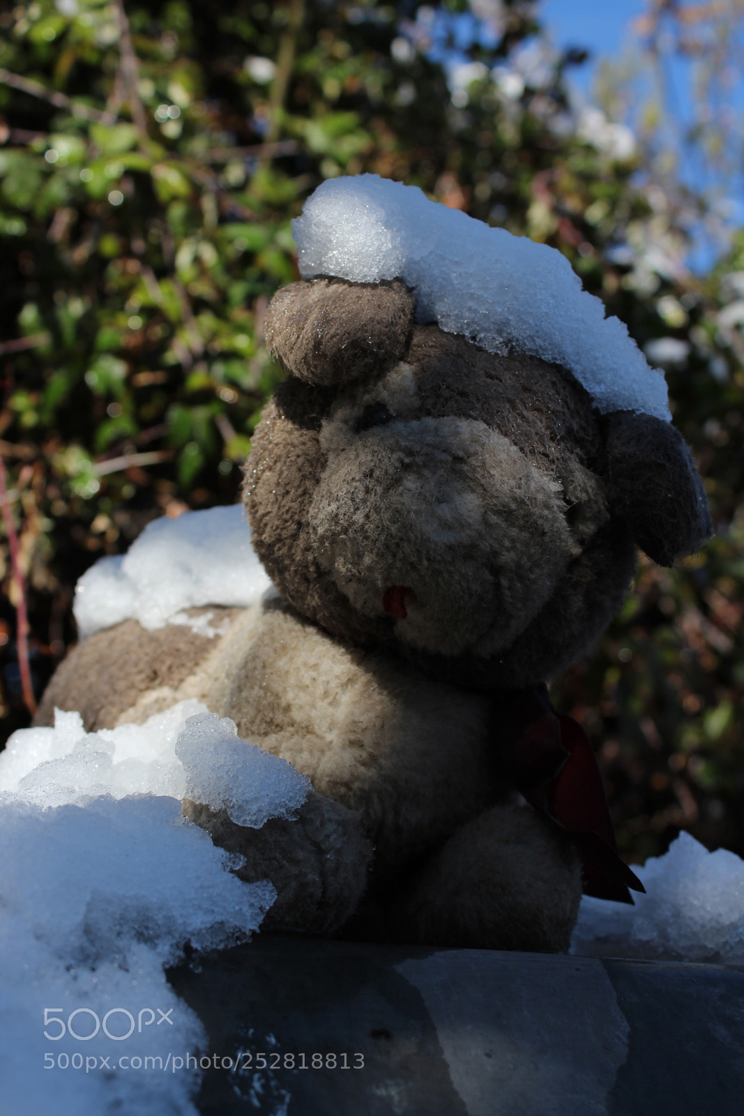 Canon EOS 1300D (EOS Rebel T6 / EOS Kiss X80) sample photo. Img photography