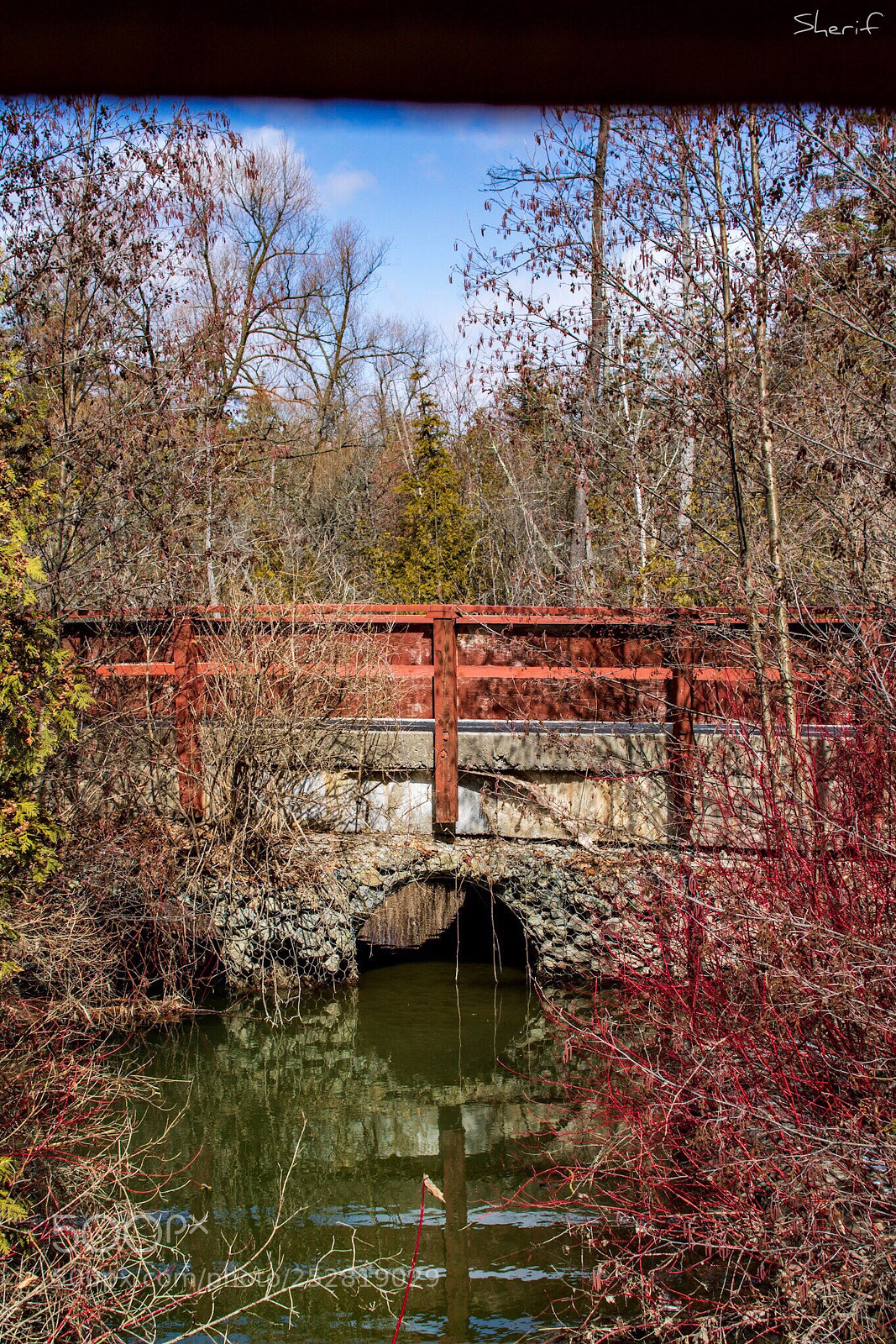 Canon EOS 750D (EOS Rebel T6i / EOS Kiss X8i) sample photo. Richmond hill  photography