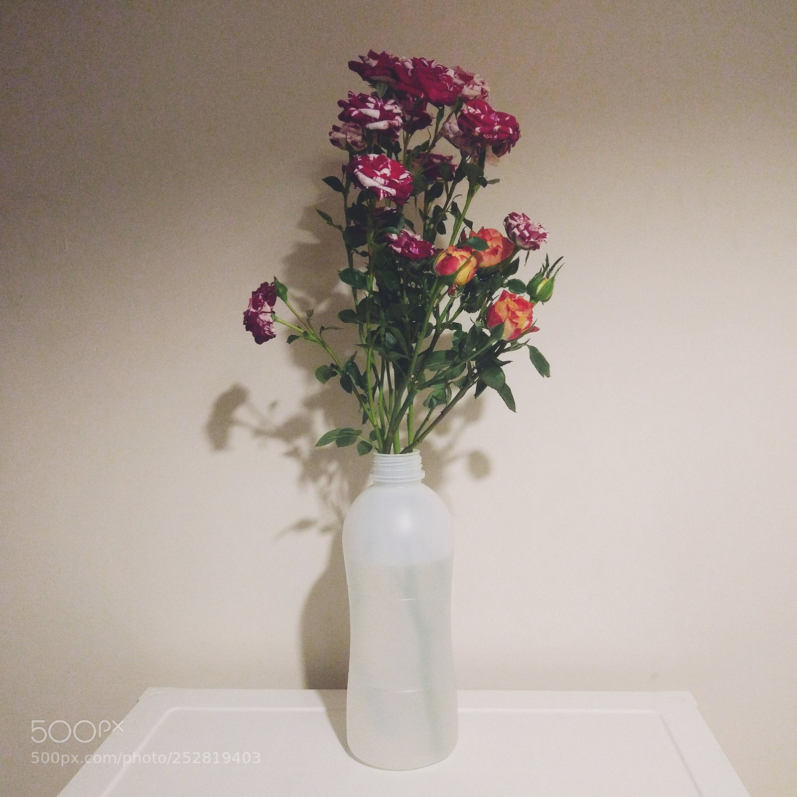 Xiaomi MI 5 sample photo. Untitled photography