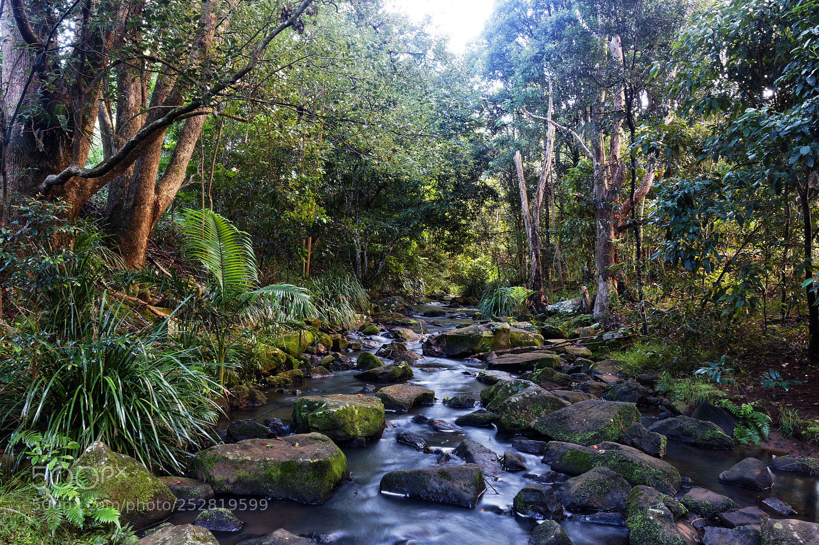 Canon EOS 80D sample photo. Tucki tucki creek goonellabah photography