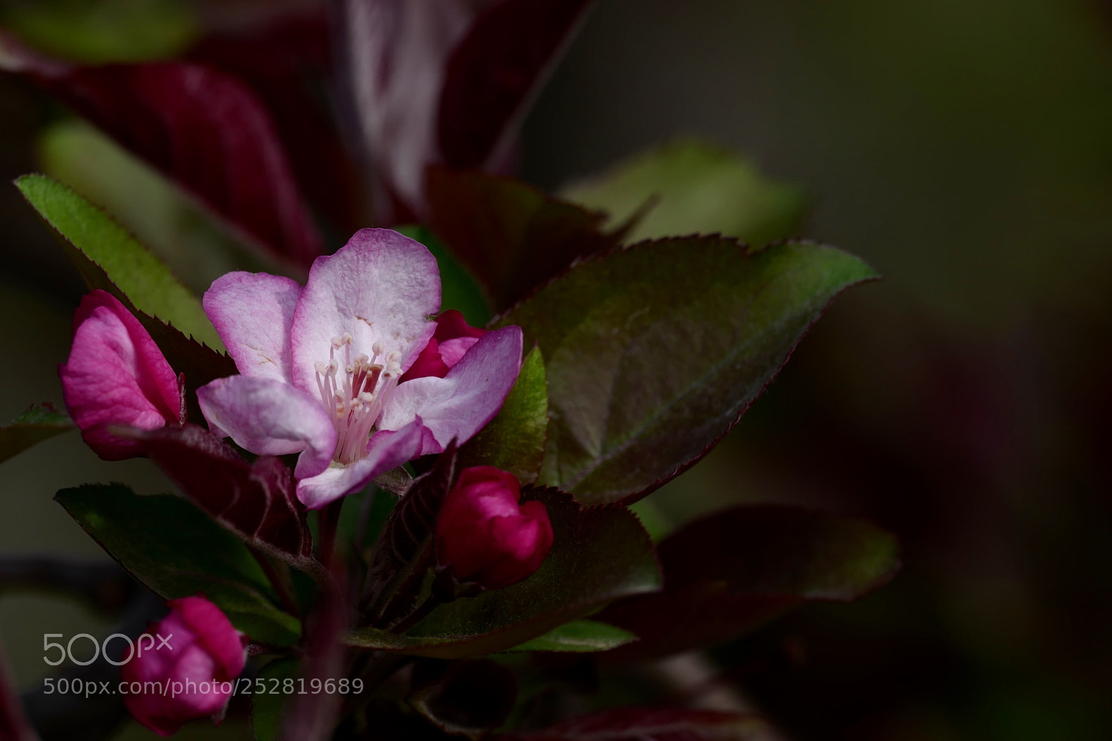 Leica SL (Typ 601) sample photo. Untitled photography