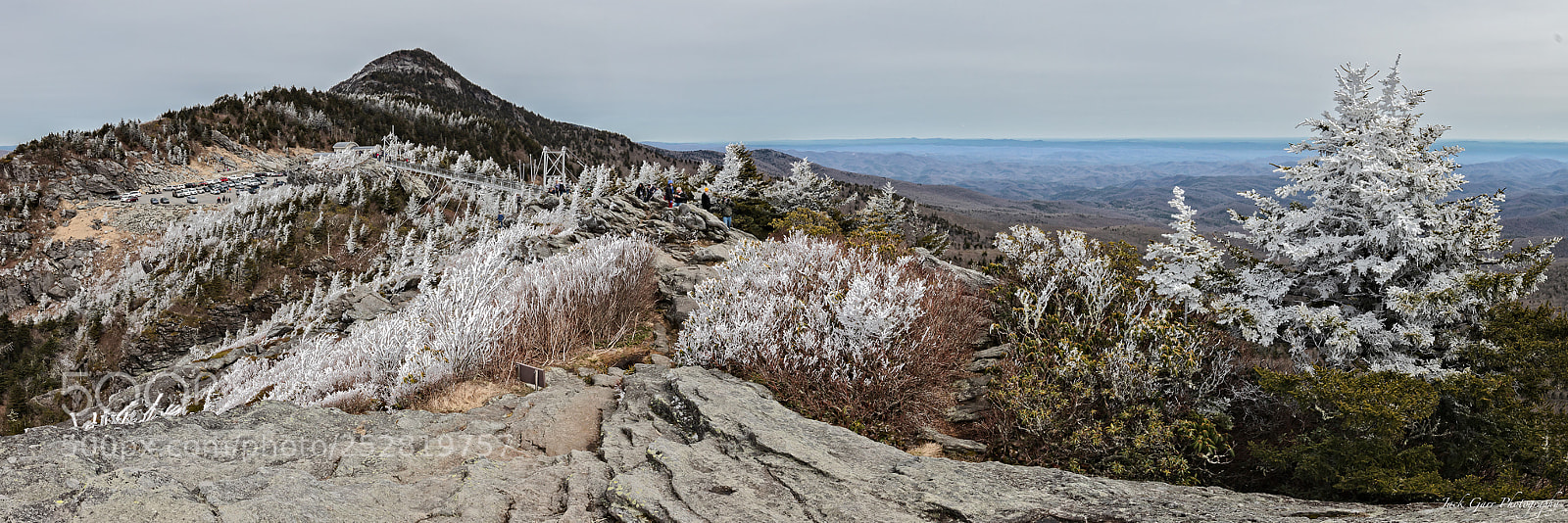 Canon EOS 5DS sample photo. Spring time on top photography