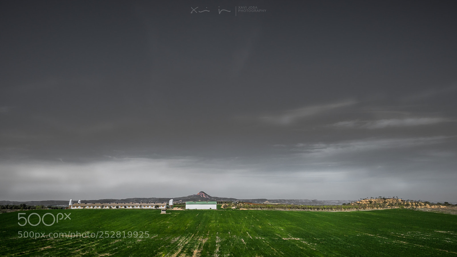 Olympus OM-D E-M1 Mark II sample photo. Low horizon.. photography