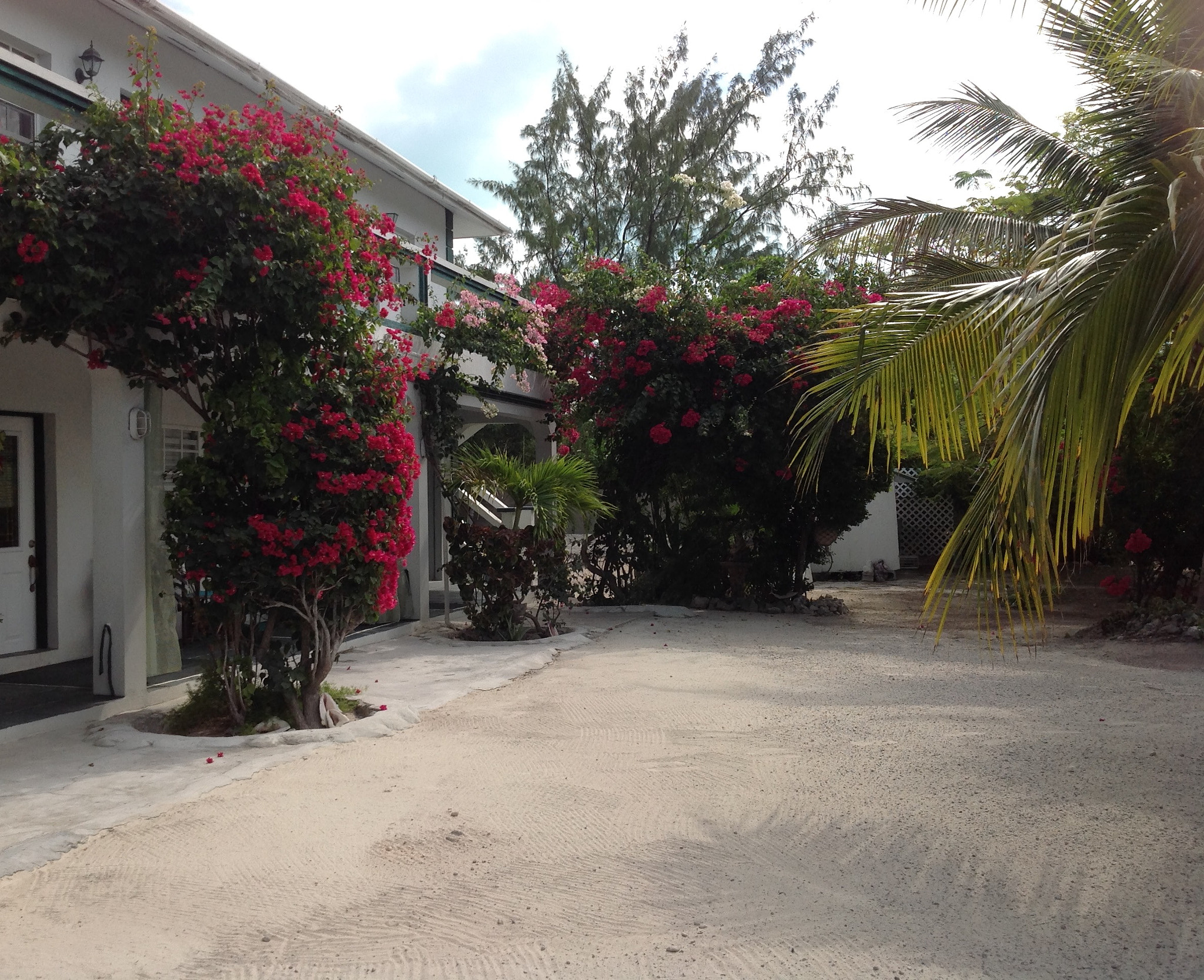 Apple iPad sample photo. Seaside in the tropics photography