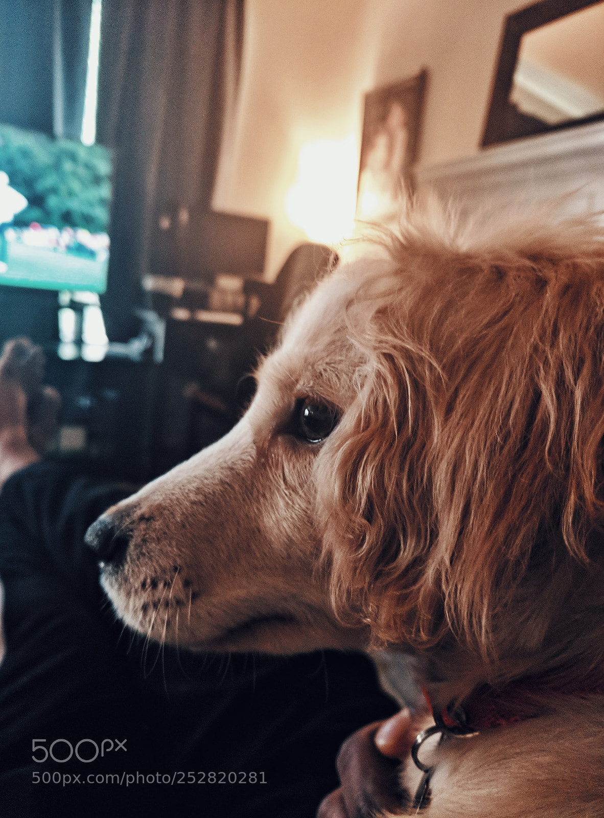 Google Pixel XL sample photo. Masters sunday photography