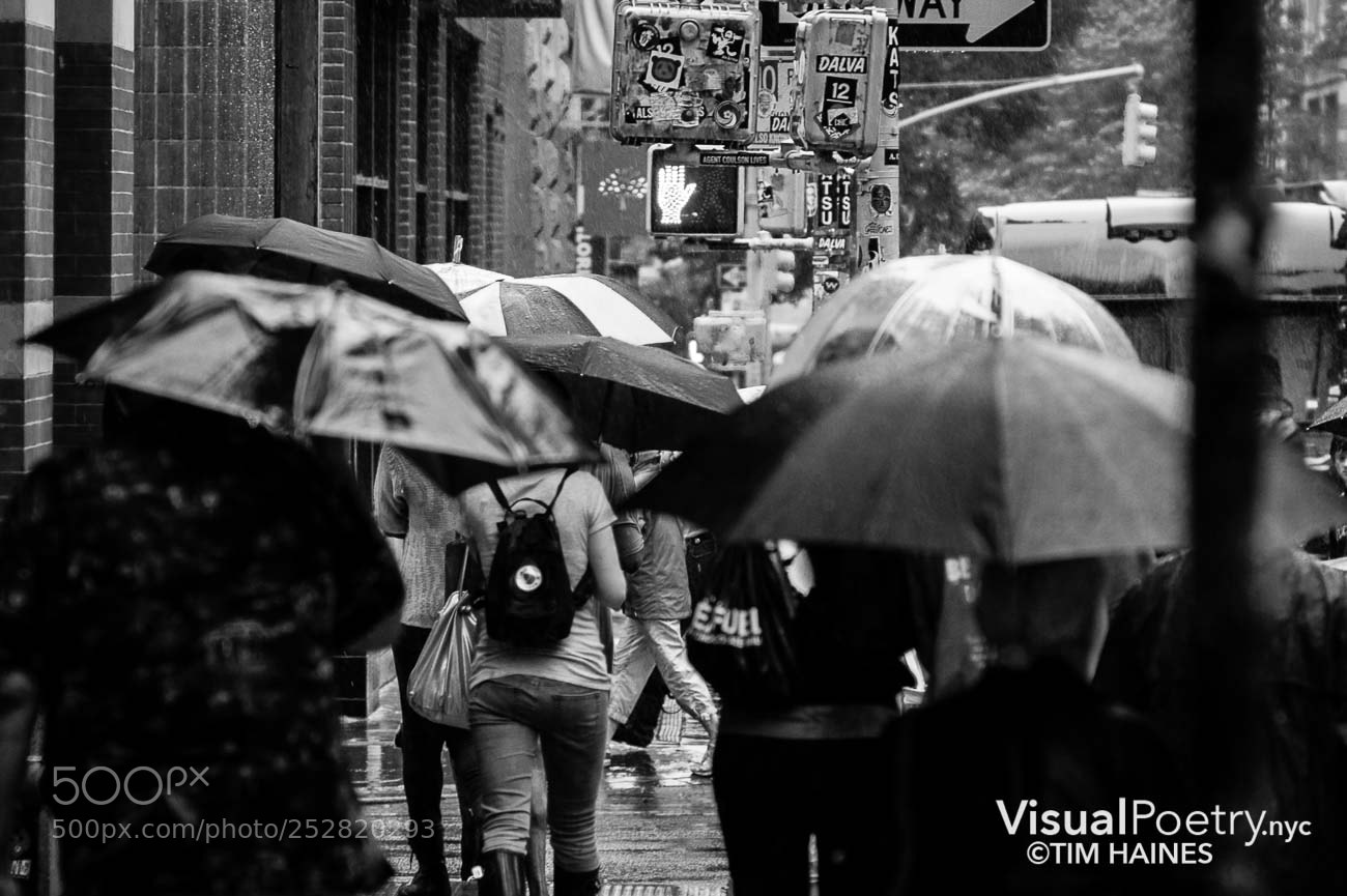 Leica M9 sample photo. Walking in the rain photography