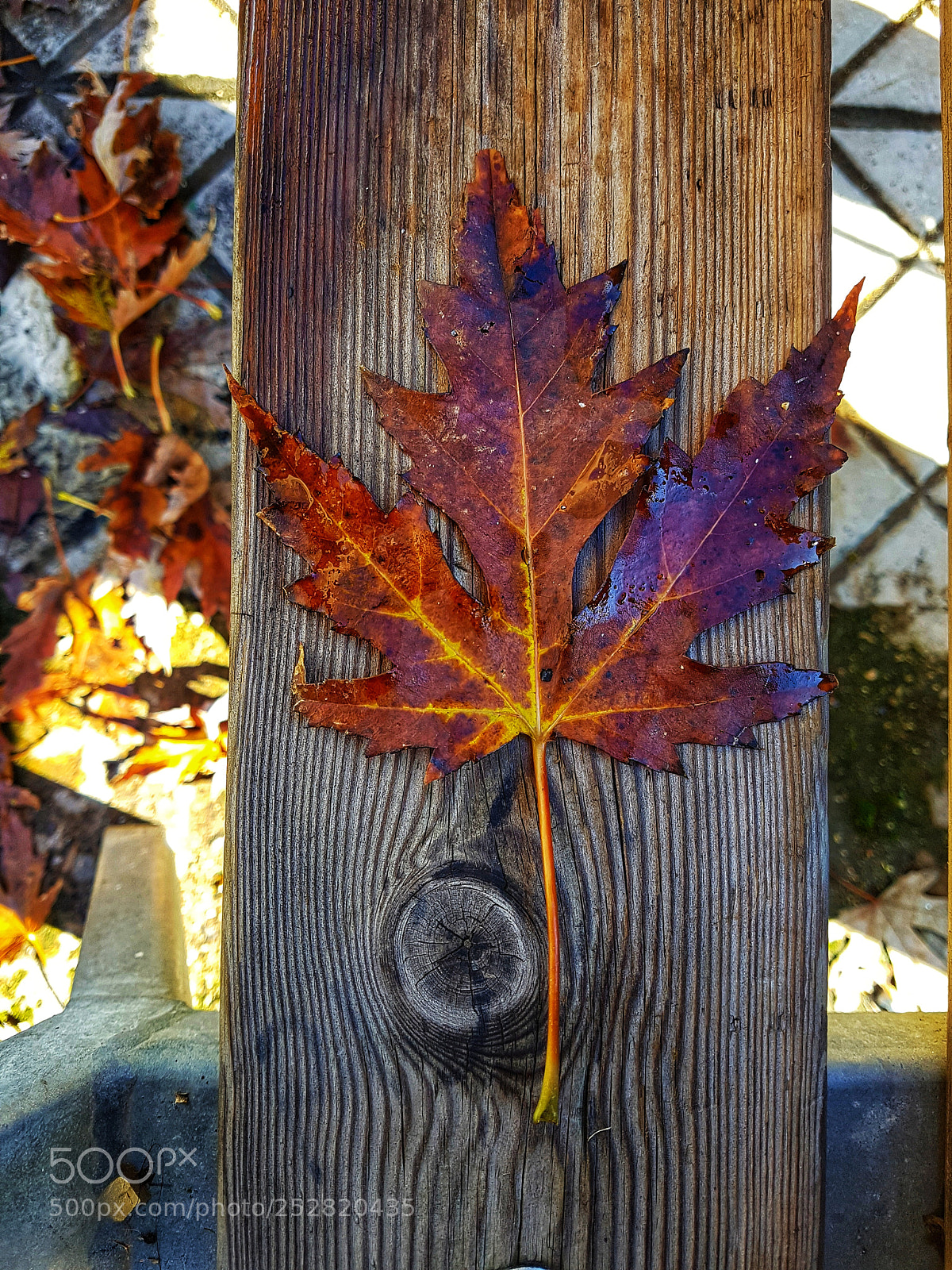 Samsung Galaxy S7 Edge sample photo. Untitled photography