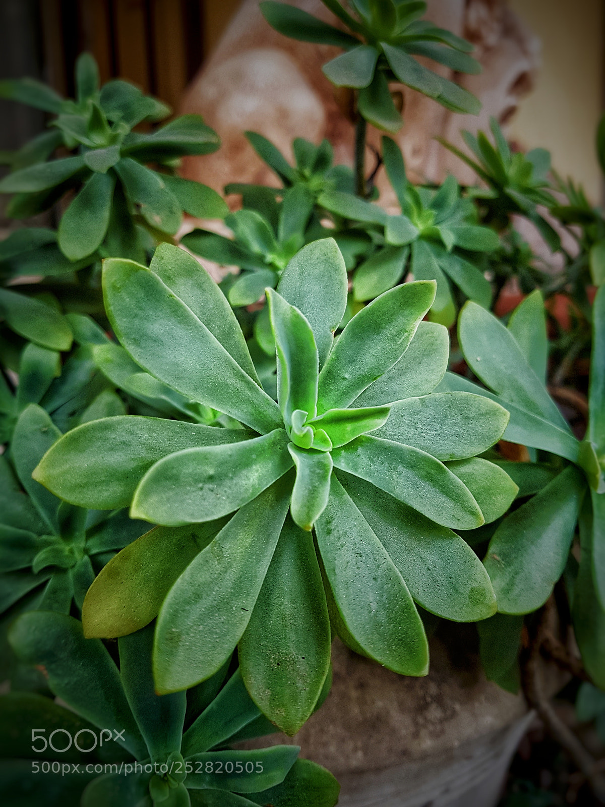 Samsung Galaxy S7 Edge sample photo. Untitled photography