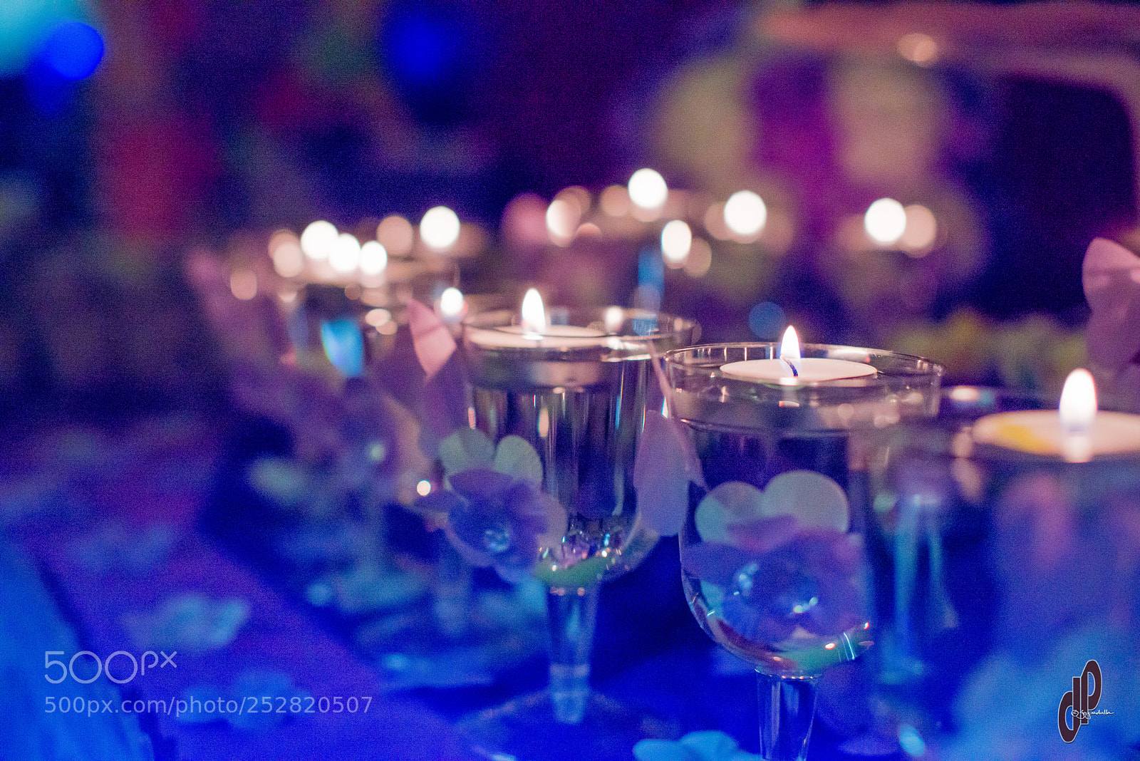 Nikon D610 sample photo. Jbp photography