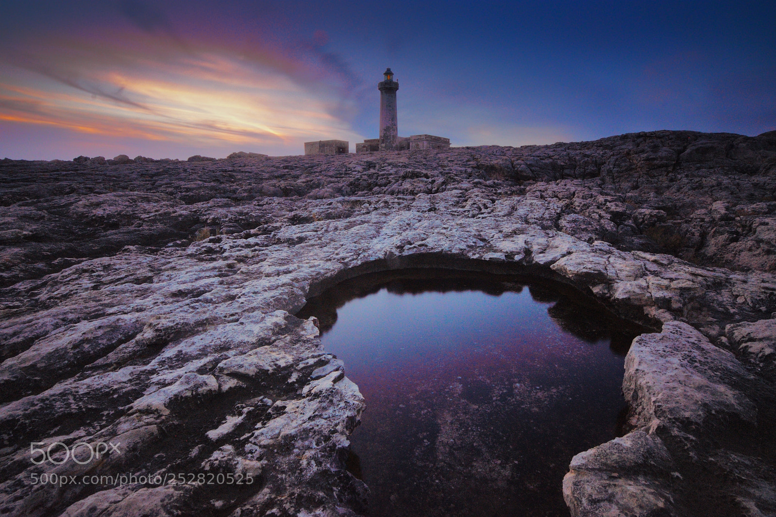 Nikon D7200 sample photo. Capo murro di porco photography