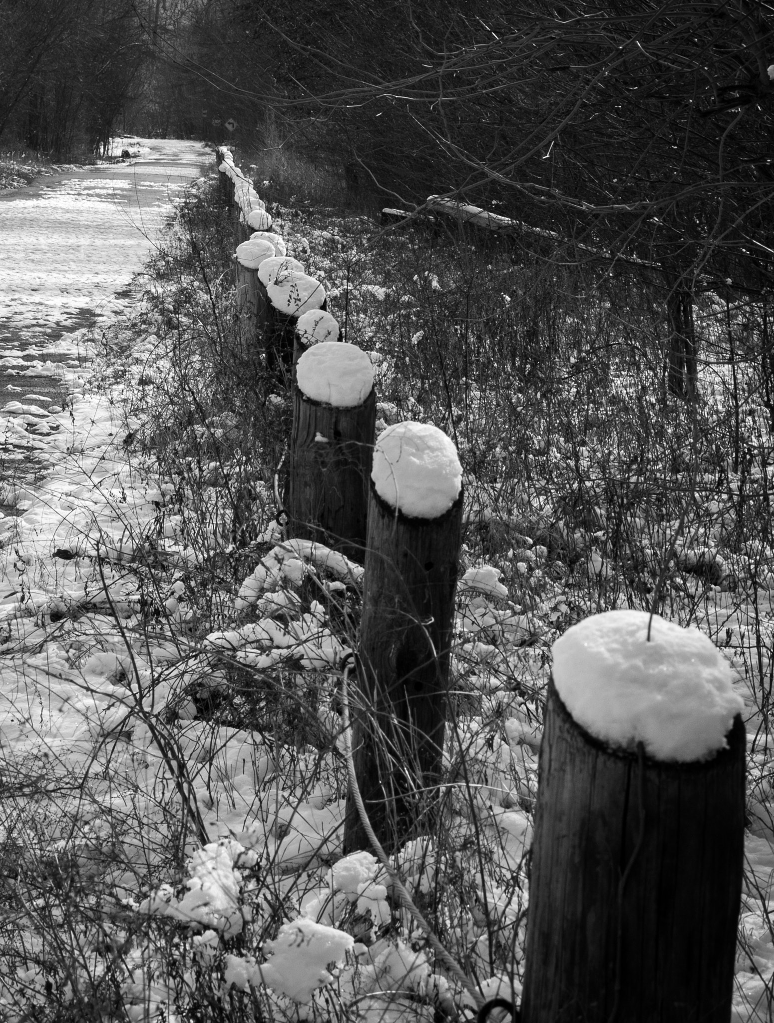 Pentax K100D sample photo. Snow caps photography