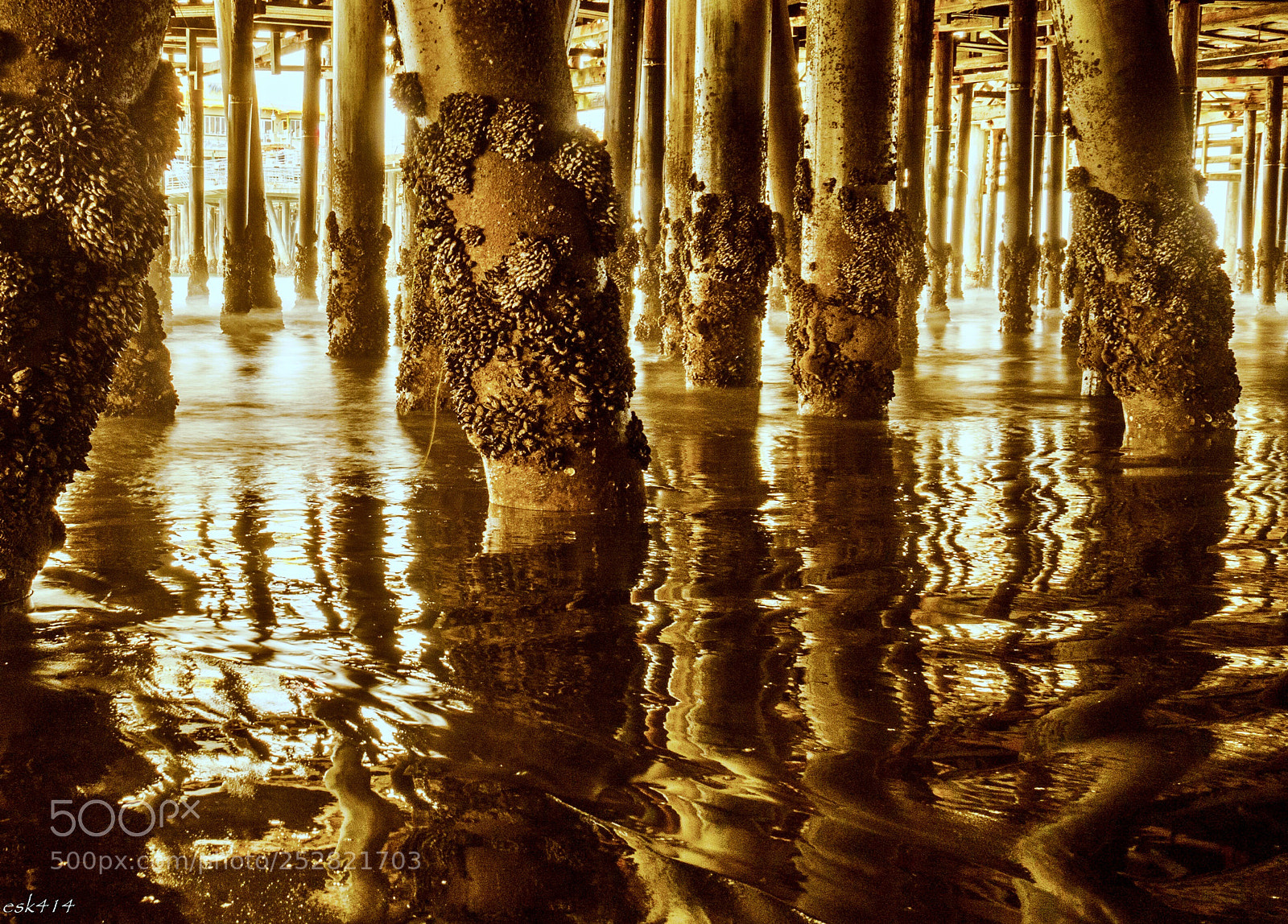 Olympus OM-D E-M5 II sample photo. Under the pier photography