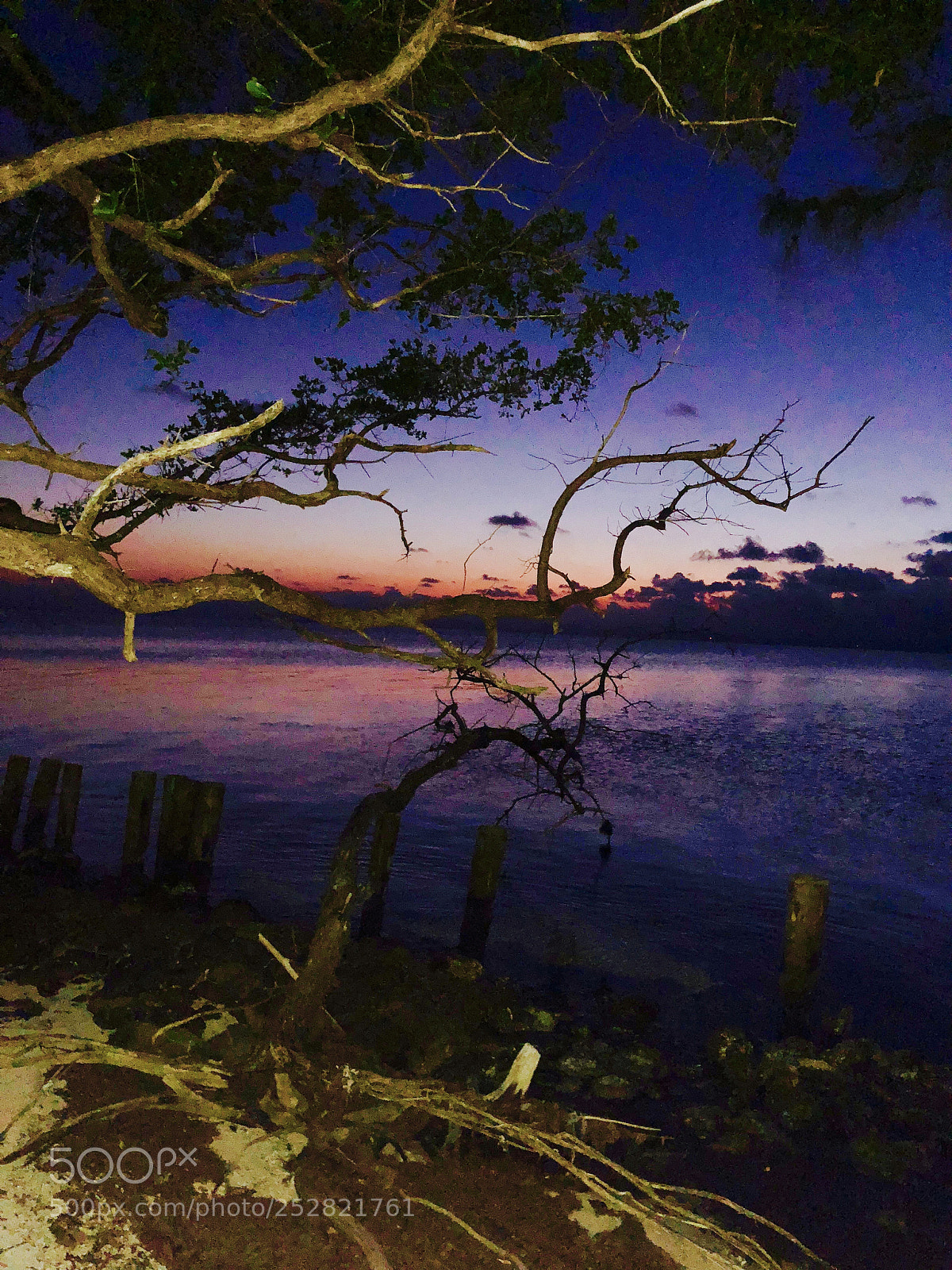 Apple iPhone X sample photo. Belize photography