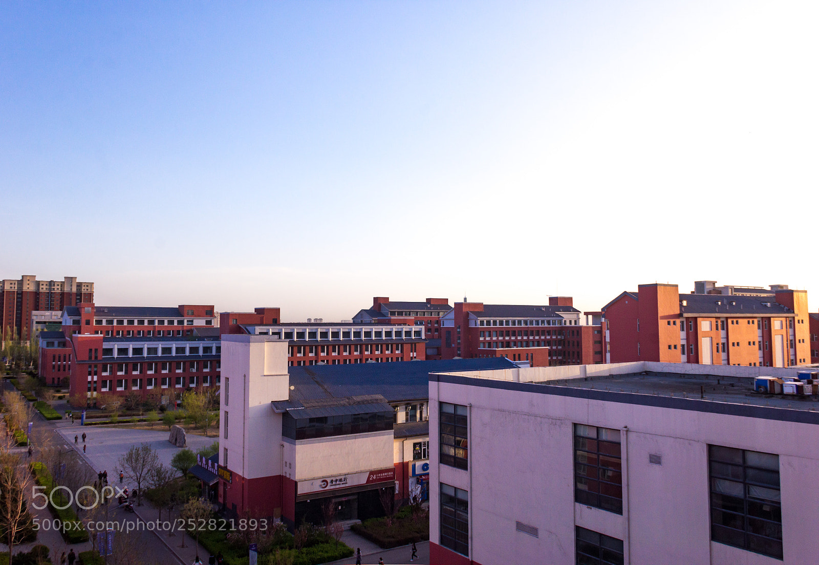 Canon EOS 60D sample photo. Untitled photography