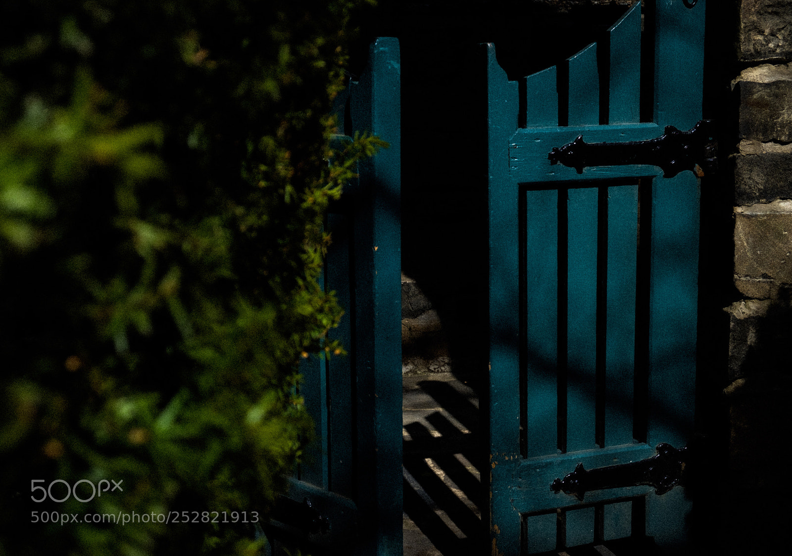 Fujifilm X-T2 sample photo. Light photography