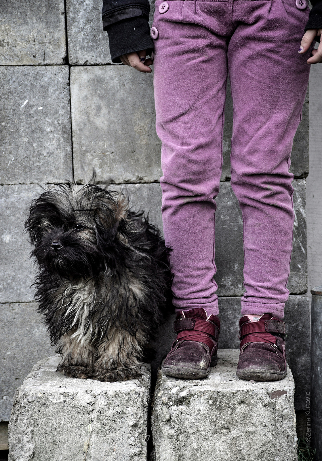Nikon D5300 sample photo. Best friends photography