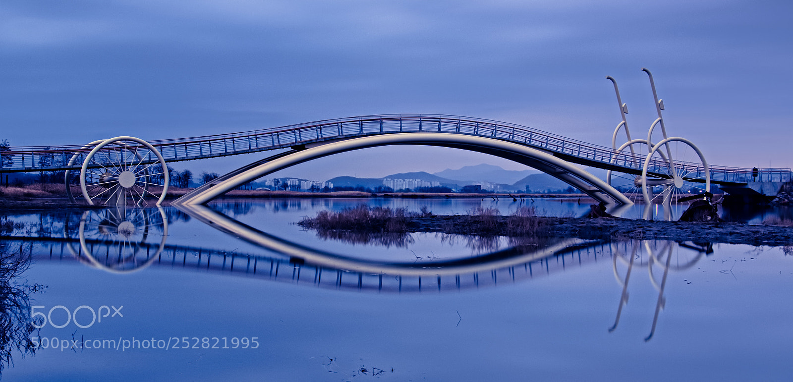 Nikon D500 sample photo. Reflection photography