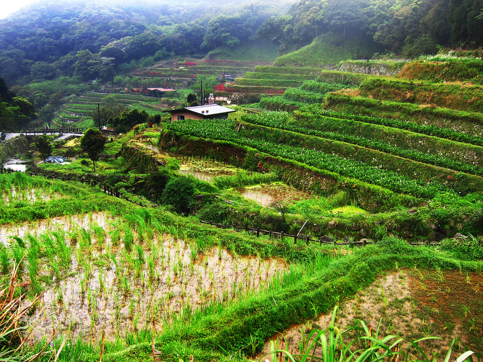 Canon PowerShot S95 sample photo. Taken in yangmingshan national park 陽明山國家公園, taiwan photography