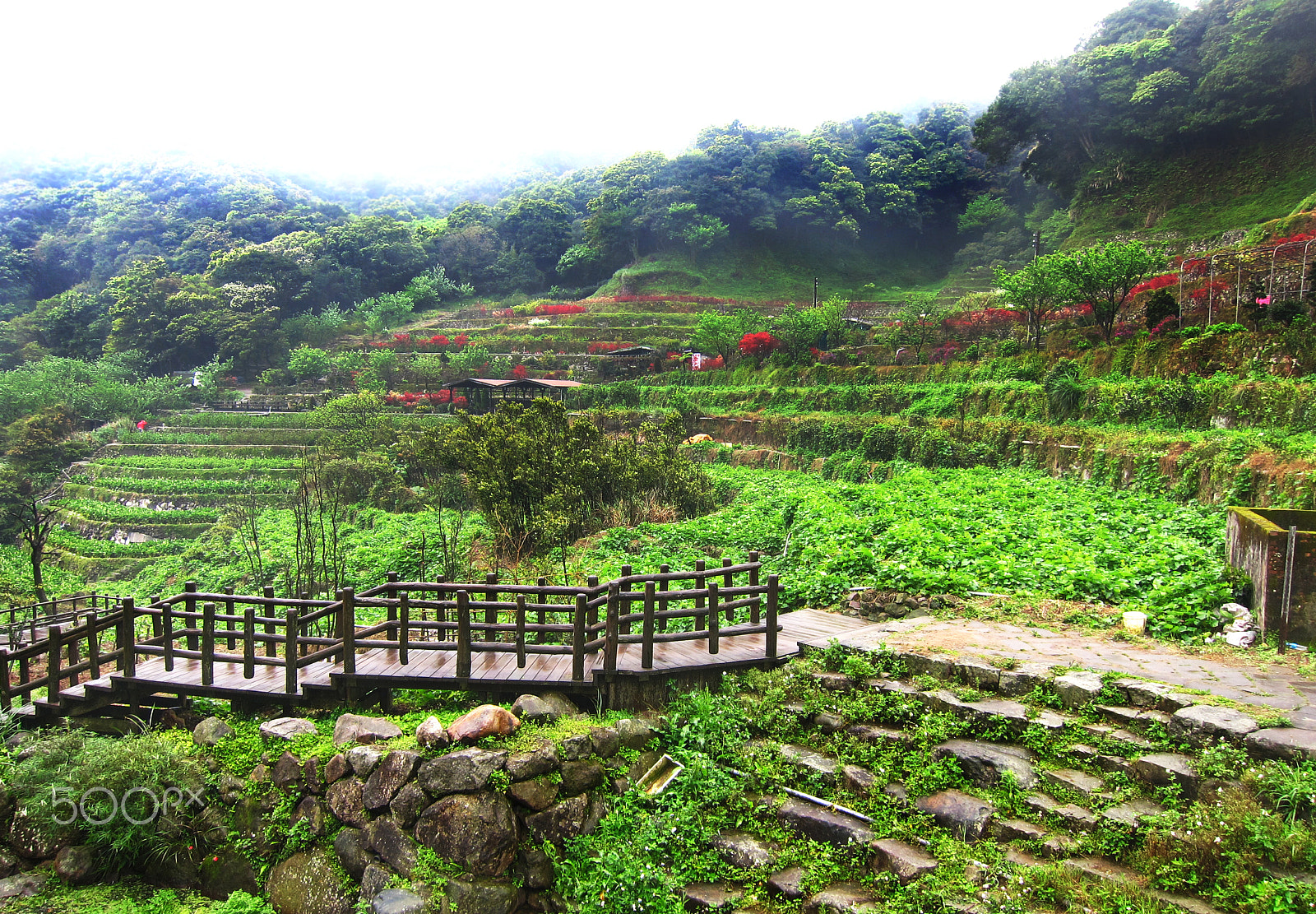 Canon PowerShot S95 sample photo. Taken in yangmingshan national park 陽明山國家公園, taiwan photography