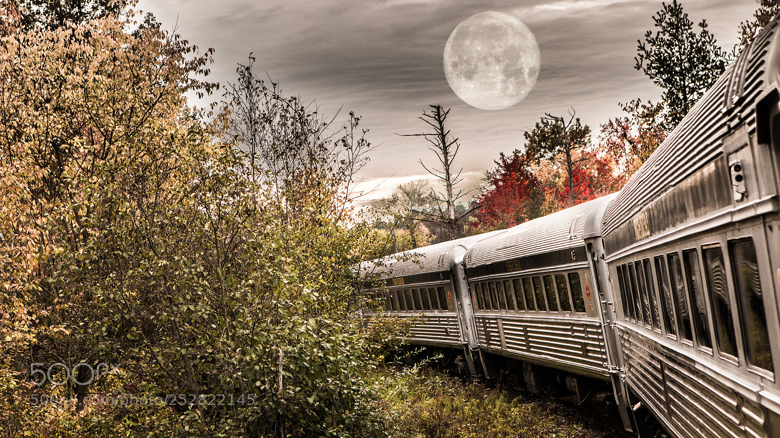 Canon EOS 70D sample photo. Heritage train ride photography