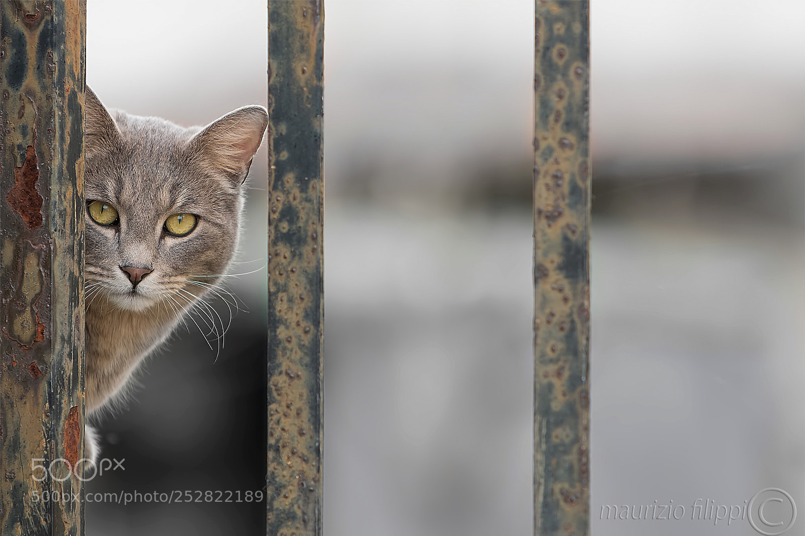 Canon EOS 70D sample photo. The escape photography