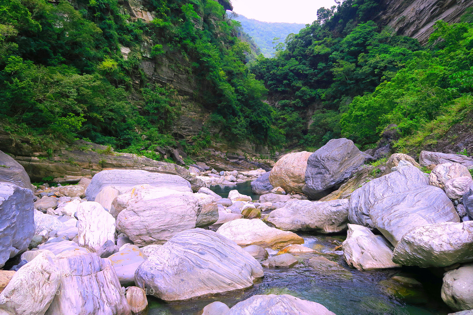 Canon PowerShot G7 X sample photo. Taken in mukumugi valley photography