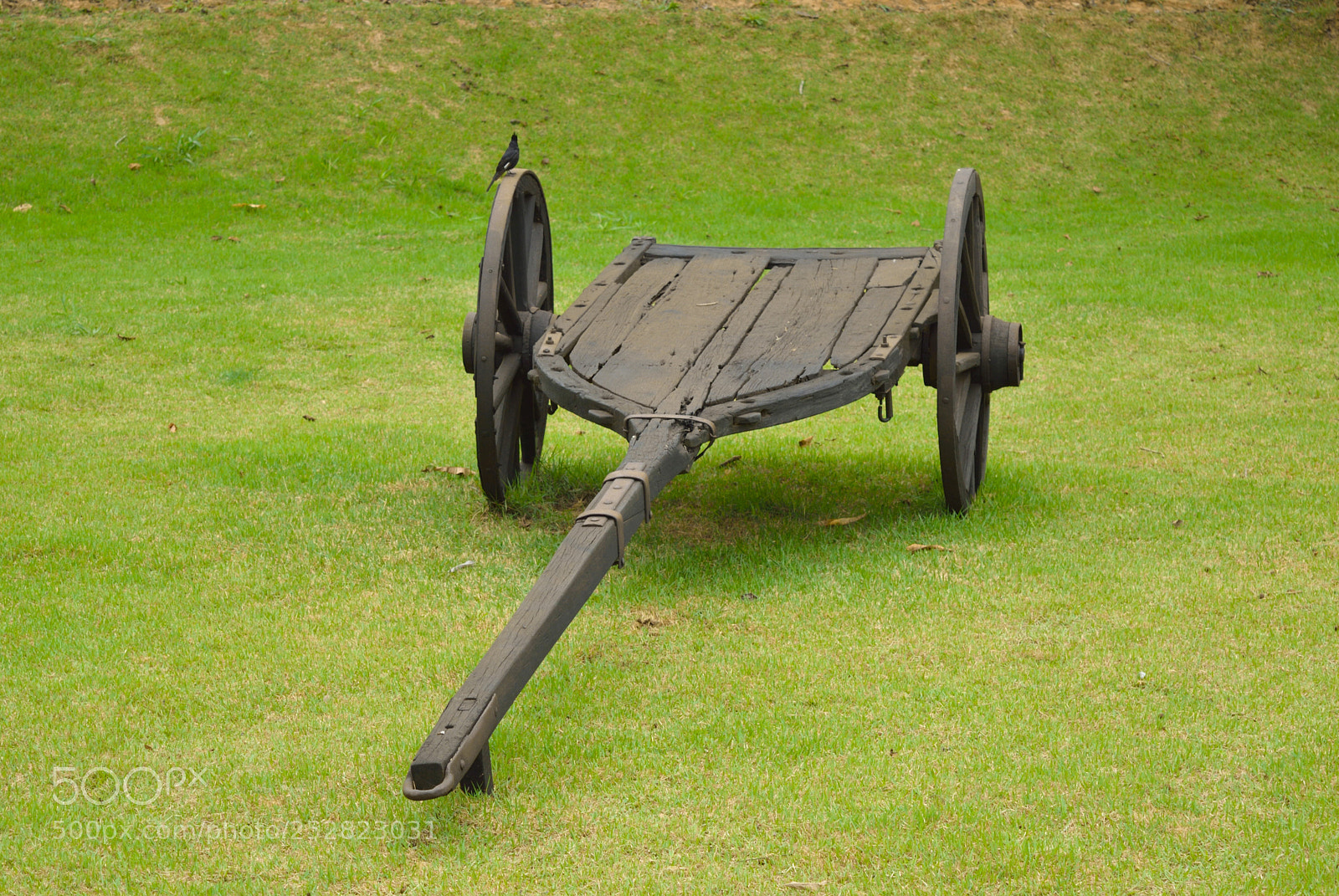 Nikon D3200 sample photo. Carro de boi photography